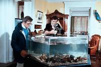 Кадр Смена сезонов