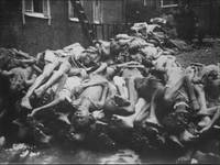 Кадр Обыкновенный фашизм