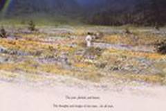 Сны Акиры Куросавы