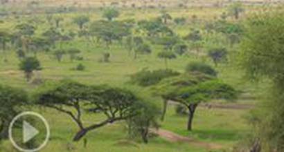 Трейлер (сезон 8)