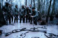 Кадр Южное гостеприимство