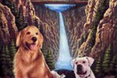 Дорога домой: Невероятное путешествие