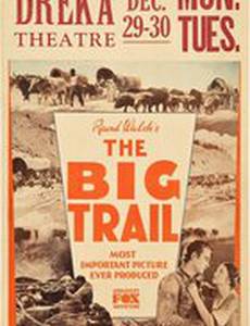 Большая слежка