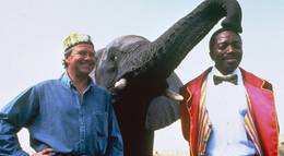 Кадр из фильма "Невероятные приключения янки в Африке" - 1