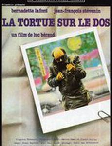 Черепаха на спине