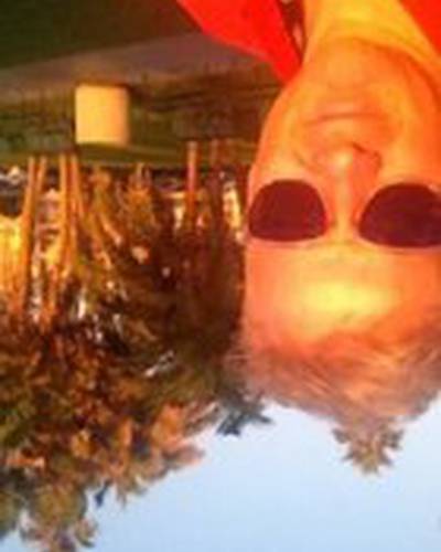 Шандор Шот фото