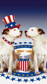 Постер Пес и нищий