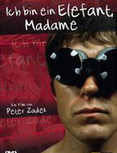 Я слон, мадам