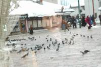 Кадр Грбавица