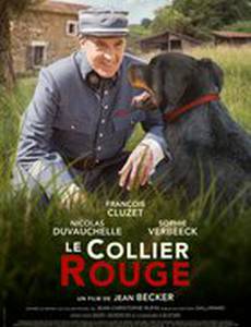 Красный ошейник