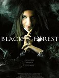 Темный лес: Ганс, Грета и 420-я ведьма