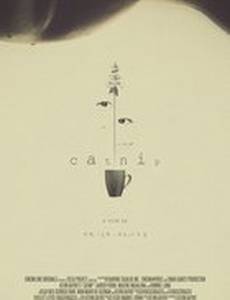 Кошачья мята