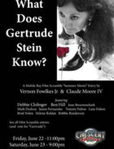What Does Gertrude Stein Know?