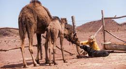 Кадр из фильма "Тропы" - 2