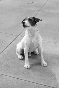 Кадр Артист