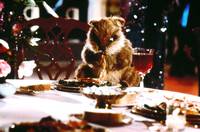 Кадр Гольф-клуб 2