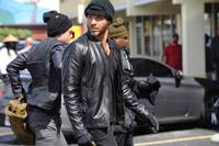 Кадр Грейсленд