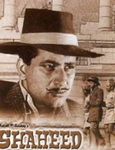 Shaheed
