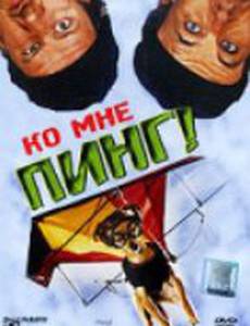 Ко мне, Пинг!