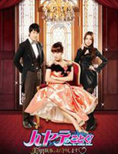 Хаятэ, боевой дворецкий