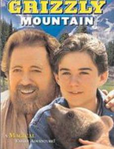 Медвежья гора 2