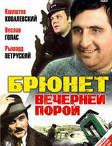 Брюнет вечерней порой