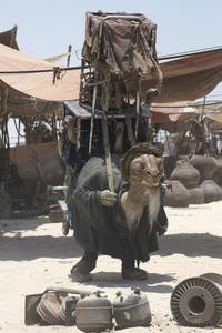 Кадр Звездные войны: Пробуждение силы