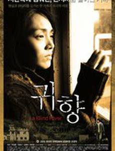 Возвращение домой