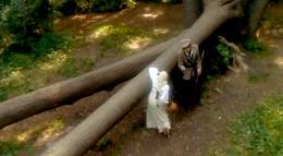 Кадр из фильма "Барышня-крестьянка" - 1