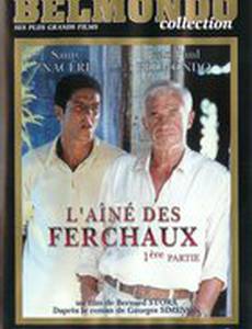 Свободное падение