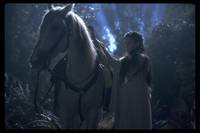 Кадр Властелин колец: Братство кольца