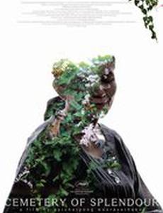 Кладбище блеска