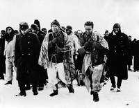 Кадр Собаки, хотите жить вечно?