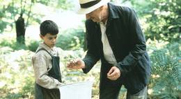 Кадр из фильма "Язык бабочек" - 1