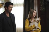 Кадр Американская история ужасов