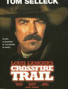 Под перекрестным огнем