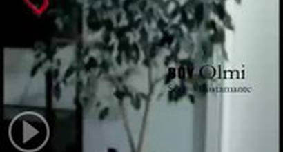 Вступительные титры