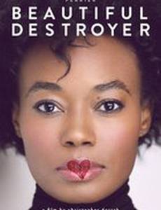 Beautiful Destroyer