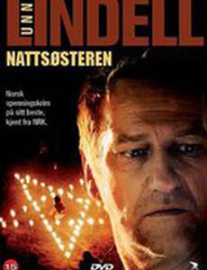 Ночная сестра (мини-сериал)