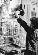 Алекс Д. Линц фото