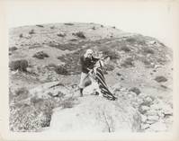 Кадр Три мушкетера