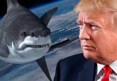 Дональда Трампа приглашали сняться в «Акульем торнадо»