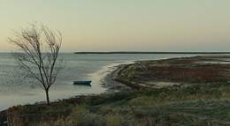 Кадр из фильма "Домой" - 1