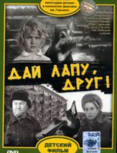 Дай лапу, Друг