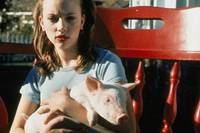 Кадр Мой братец Бейб