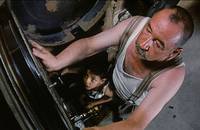 Кадр Новый кинотеатр «Парадизо»