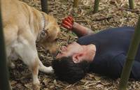 Кадр Остаться в живых