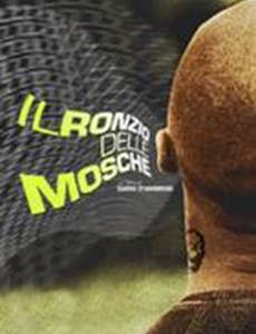 Il ronzio delle mosche