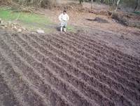 Кадр Tales from the Green Valley