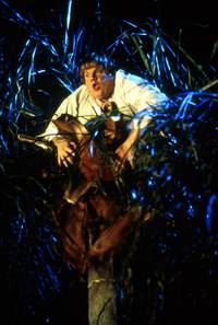 Кадр Ниндзя из Беверли Хиллз